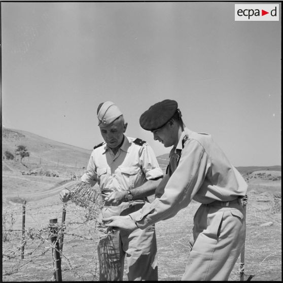 El Hamri, frontière algéro-tunisienne. Le général Dulac pose du barbelé.