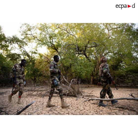 Des soldats nigériens ratissent un ouadi dans la région de Fadar-Fadar, au Burkina Faso.