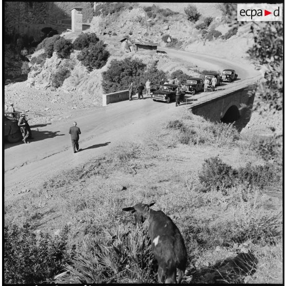 Les gorges du "Hamam Nelouan".