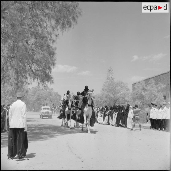 Des Touareg sur chameaux précèdent la voiture ministérielle entrant dans Tamanrasset.