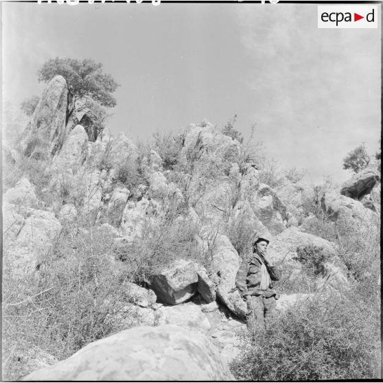 Le lendemain de la fête du Mouloud la 13ème demi-brigade de la légion étrangère (DBLE) et le 22ème bataillon de tirailleurs algériens (BTA) montent une opération dans le Djebel Tarhit à 40km au sud-est de Batna.