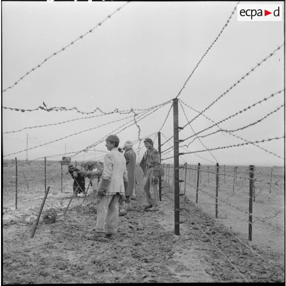 Ouvriers français-musulmans construisant le réseau de barbelés.