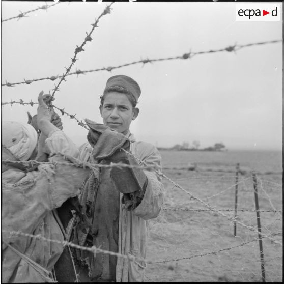 Ouvriers français-musulmans construisant le réseau de barbelés.