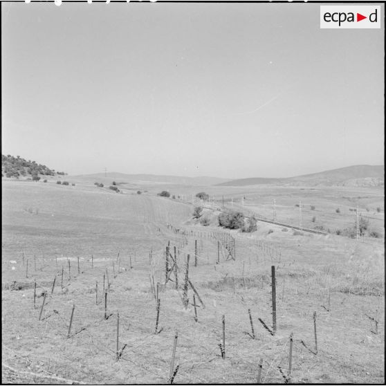 Réseau de barbelés électrifié dans la région de Laverdure suivant la voie ferrée Bône-Tebessa.