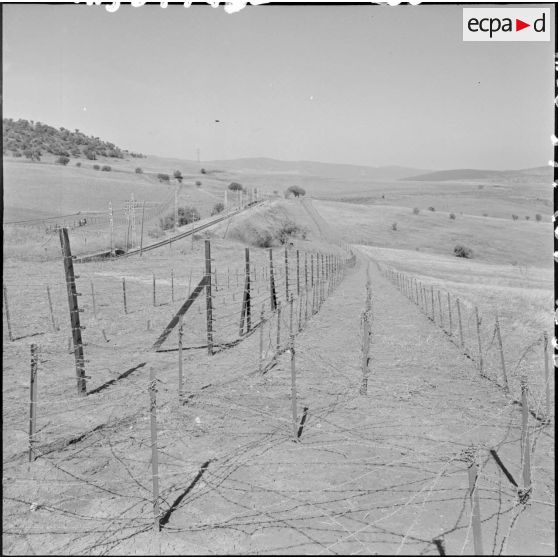 Réseau de barbelés électrifié dans la région de Laverdure suivant la voie ferrée Bône-Tebessa.