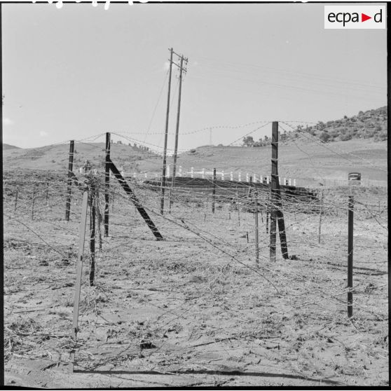 Réseau de barbelés électrifié dans la région de Laverdure suivant la voie ferrée Bône-Tebessa.