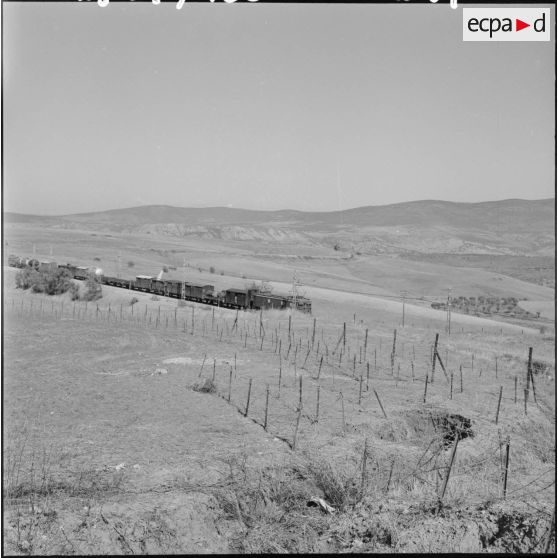 Réseau de barbelés électrifié dans la région de Laverdure suivant la voie ferrée Bône-Tebessa.