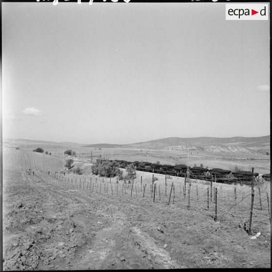 Réseau de barbelés électrifié dans la région de Laverdure suivant la voie ferrée Bône-Tebessa.