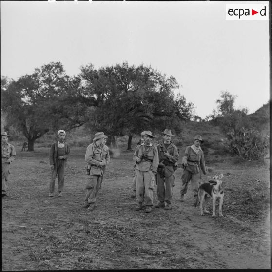 Groupe de soldat et leur chien.