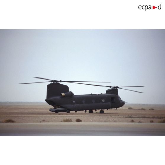 Hélicoptère d'assaut américain Boeing Vertol CH-47 Chinook au sol sur la piste de la base air américaine de CRK (camp du roi Khaled).