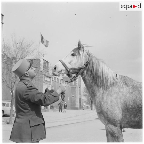 Un officier et un cheval devant un bâtiment français.