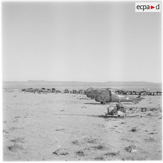 Algérie. Opération héliportée dans la région des Ouled-Rabah. Hélicoptères sur la piste.