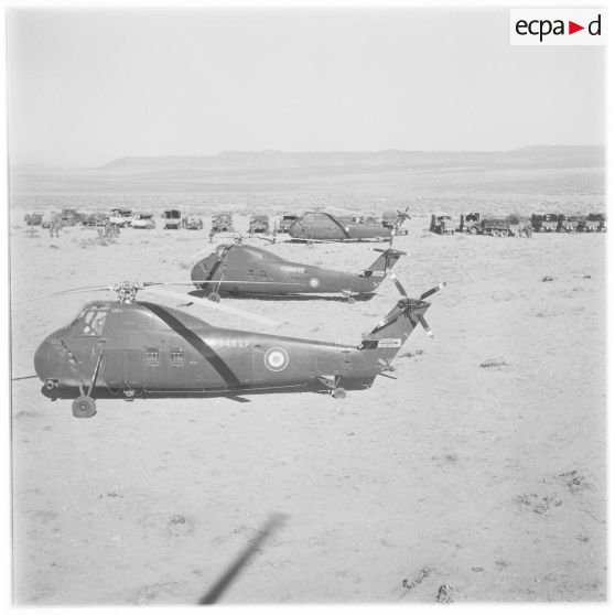 Algérie. Opération héliportée dans la région des Ouled-Rabah. Hélicoptères Sikorsky au sol.