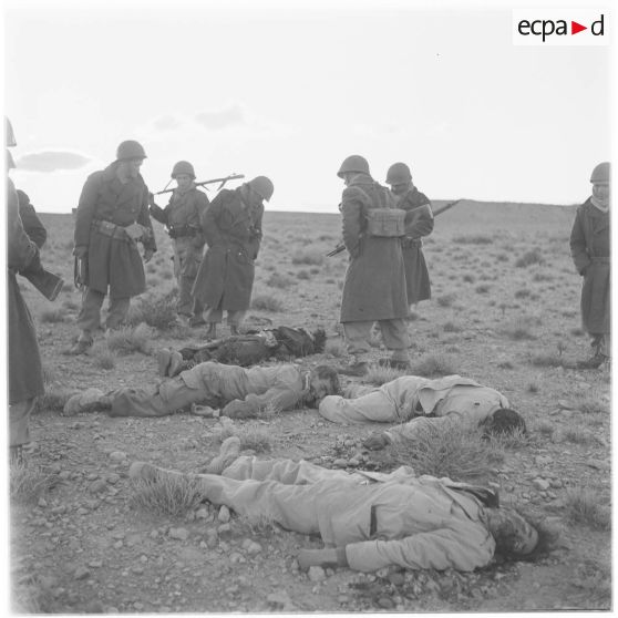 Algérie. Cadavres de fellaghas.