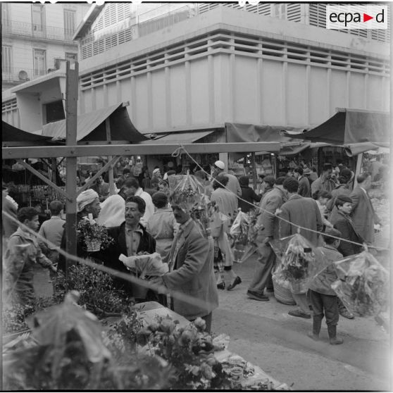 Marchands de gui dans une rue de Bab El Oued.