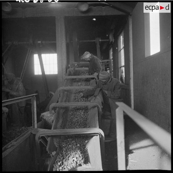 Installations du lavoir et du criblage de la mine de Kenadsa.