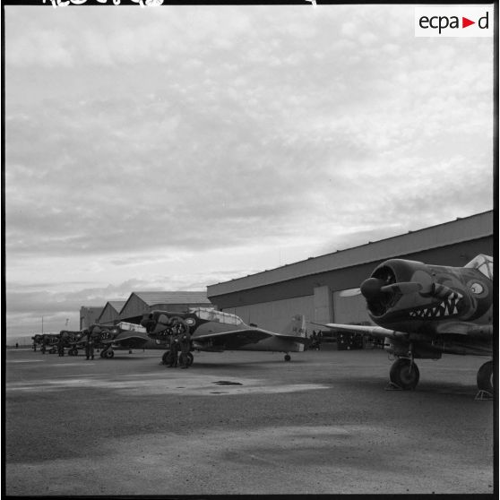 Un groupe d'avions T6 alignés sur la base aérienne de Colomb-Béchar.