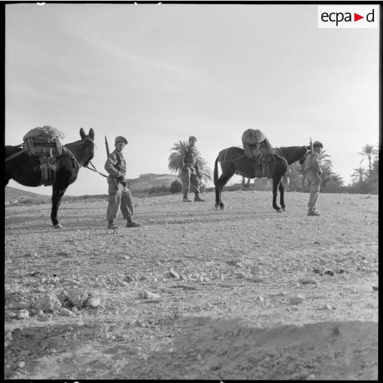 Départ des harkis de Bou-Saâda en opération.