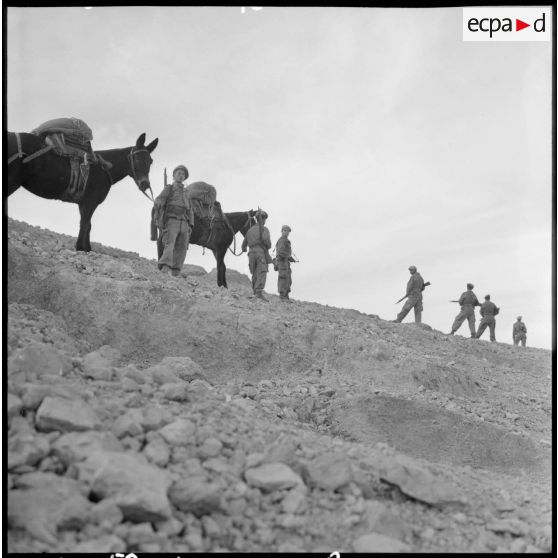 Départ des harkis de Bou-Saâda en opération.