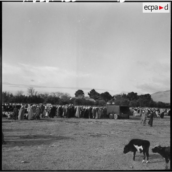 Séance d'action psychologique dans la région de Bouktoub : la foule devant le camion haut-parleurs.