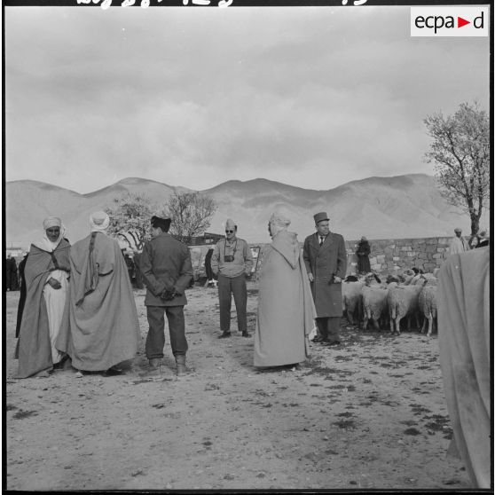 Séance d'action psychologique dans la région de Bouktoub : la foule.