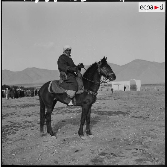 Tournée d'action psychologique dans Mécheria : portrait d'un homme à cheval.