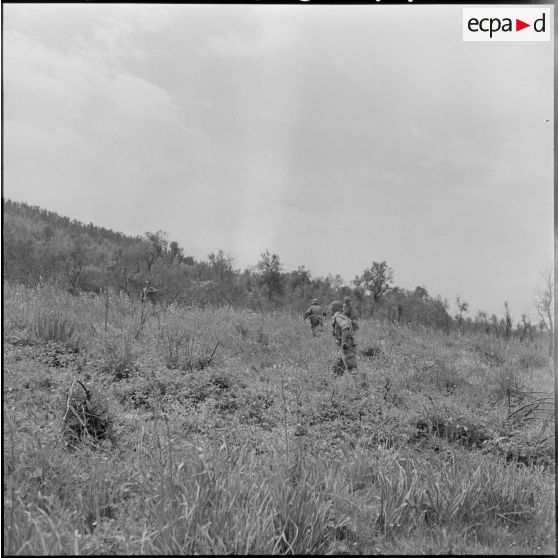 Les légionnaires progressent dans le paysage boisé.