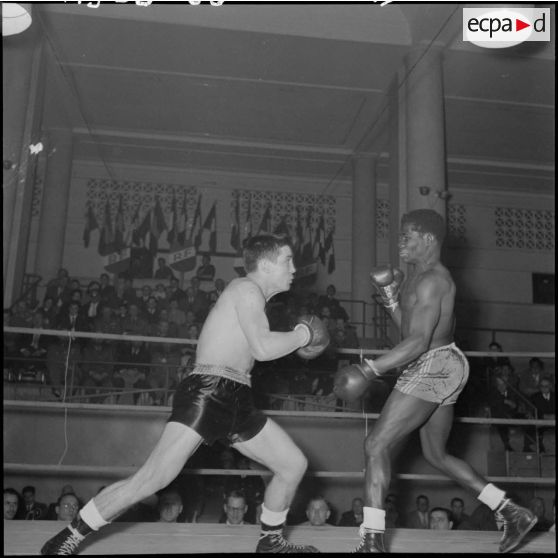 Combat de boxe entre Fernandez et Sither.