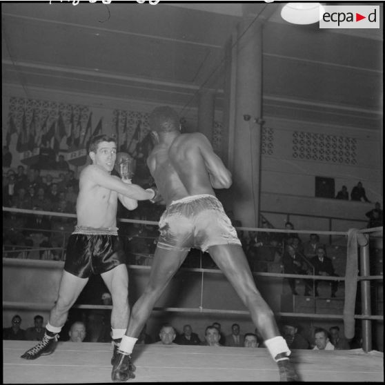 Combat de boxe entre Fernandez et Sither.