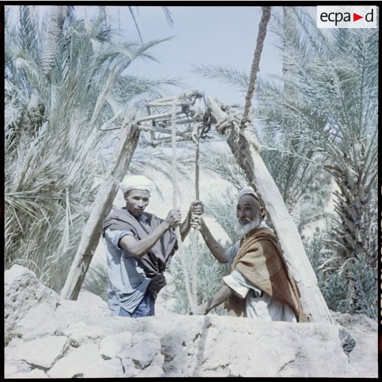 Groupe de nomades se servant d'un puits dans la région de Colomb-Béchar.