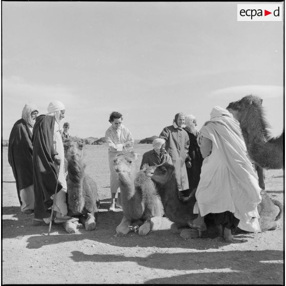 Les femmes des personnalités militaires s'entretiennent avec les hommes qui s'occupent des dromadaires.