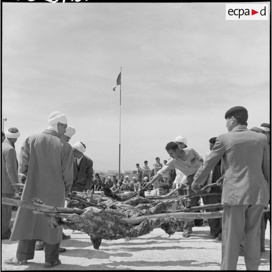 Disposition des moutons pour la cérémonie.