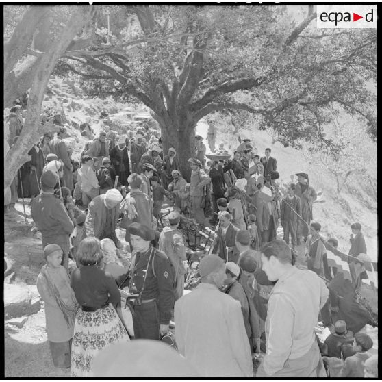 Dégustation du méchoui et du couscous.