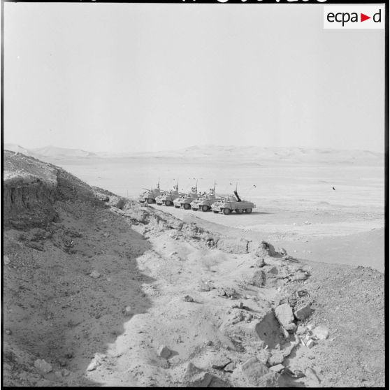 Alignement de Light Armored Car M8 dans le désert.