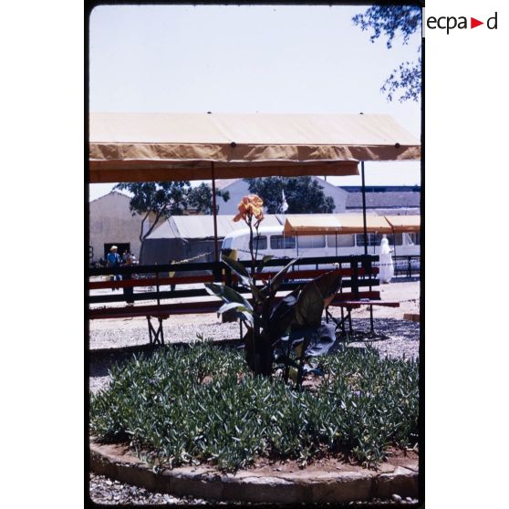 AFN-01-004. Jardin du P.C. 1959. IX arrondissement Oran. [légende d'origine]