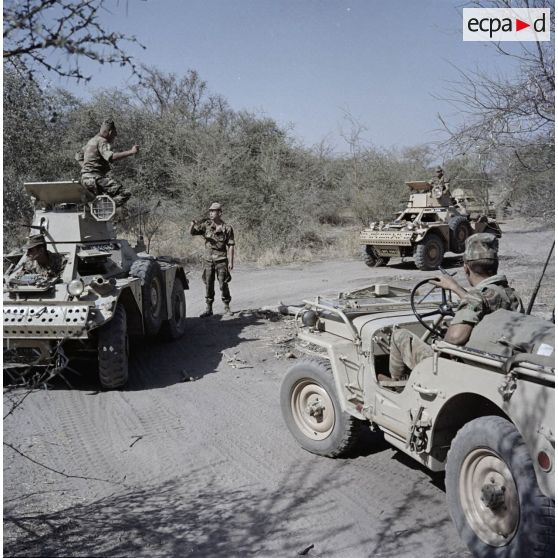 Engins blindé de reconnaissance de typre Ferret et Jeep dans la brousse au Tchad.