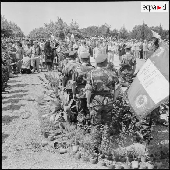 Obsèques du colonel Jeanpierre au cimetière d'El Alia.