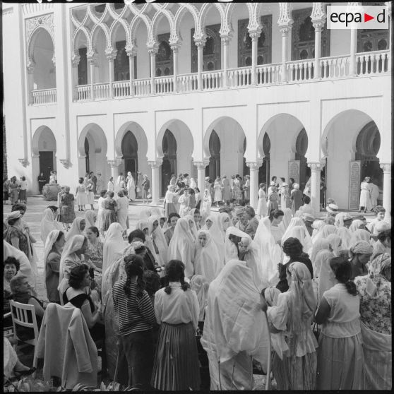 Alger. Les jardins du palais d'été.