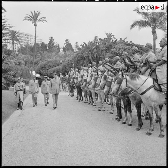 Mostaganem. Revue des troupes.