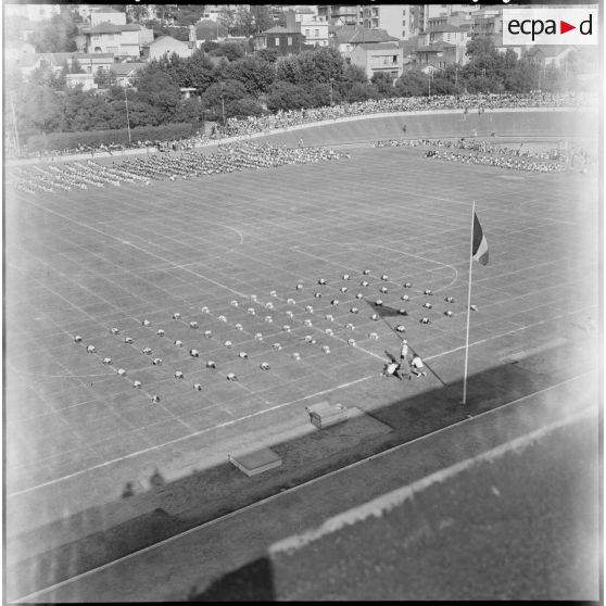 Le stade de Guelma.