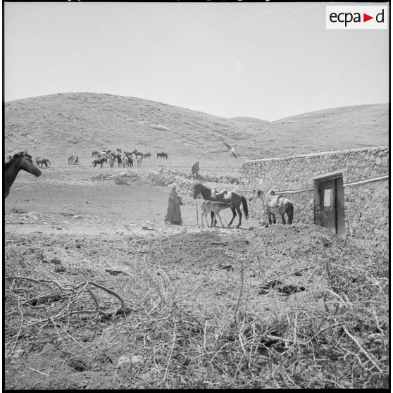 Le village de Bou Hachena.