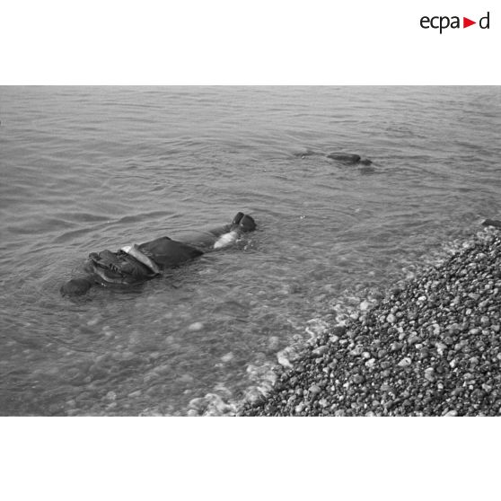 Cadavres flottant sur la plage de Dieppe après le raid canadien (Opération Jubilee) du 19 août 1942.