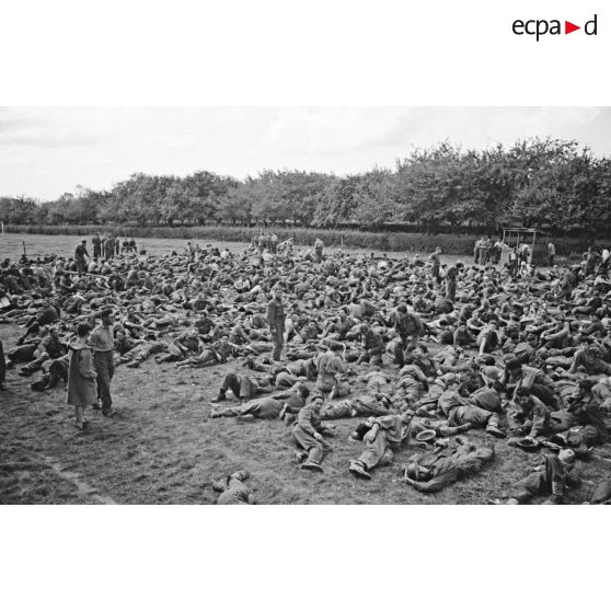 Prisonniers canadiens et anglais, peu après le débarquement et le raid de Dieppe (opération Jubilee).