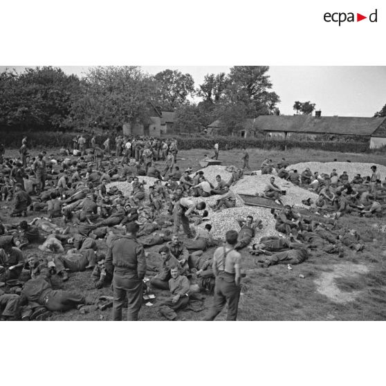 Prisonniers canadiens et anglais, peu après le débarquement et le raid de Dieppe (opération Jubilee).