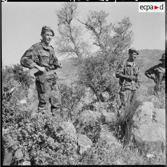 Opération dans le djebel Besbass.