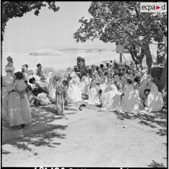 Région d'Aumale. Femmes et enfants rassemblés sous un arbre.