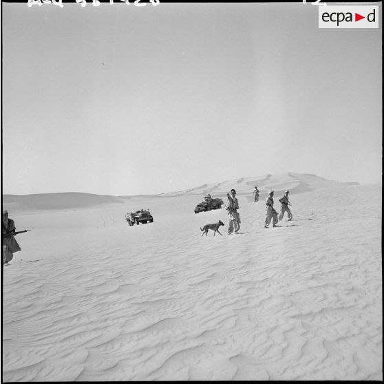 Région d'Edjeleh. Une patrouille de la 2e compagnie saharienne portée de la Légion étrangère (CSPLE).