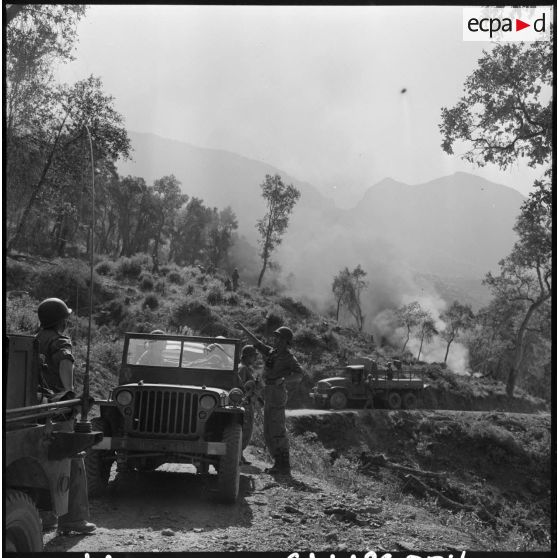 Mission de déboisement pour la 8e compagnie du 57e régiment d'infanterie (RI).