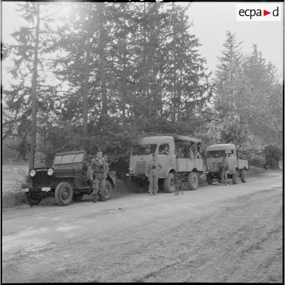 Véhicules du 12e bataillon d'infanterie (BI) à l'arrêt.