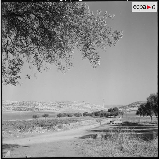 Restauration des sols entre Oran et Sidi Bel Abbes.